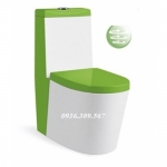 BỒN CẦU LIỀN KHỐI HỒNG KÔNG MÀU XANH  MÃ SỐ YWWY-8956